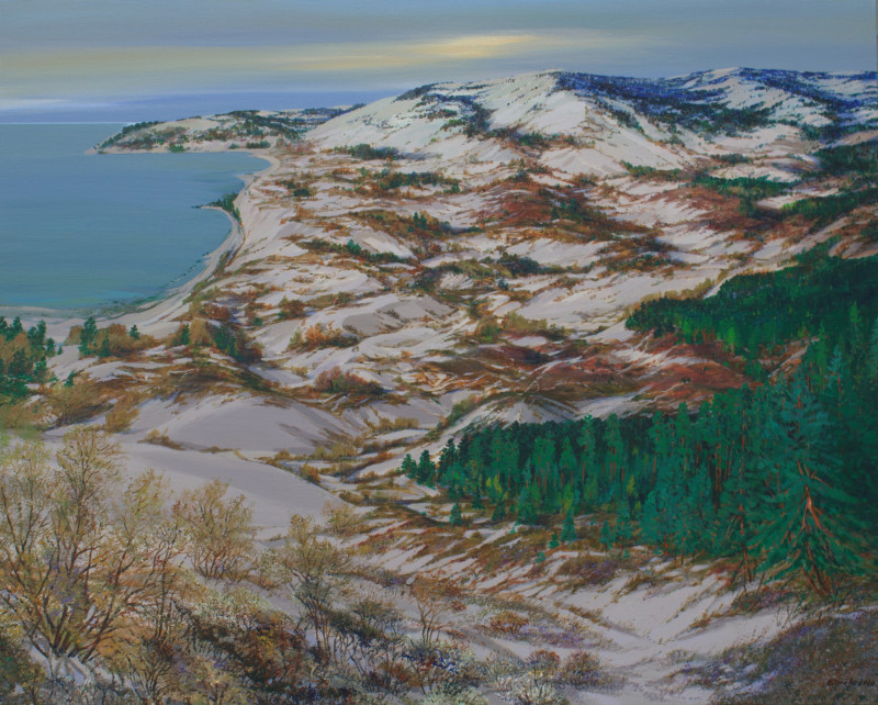 Sand Dunes original painting by Vidmantas Zarėka. Landscapes