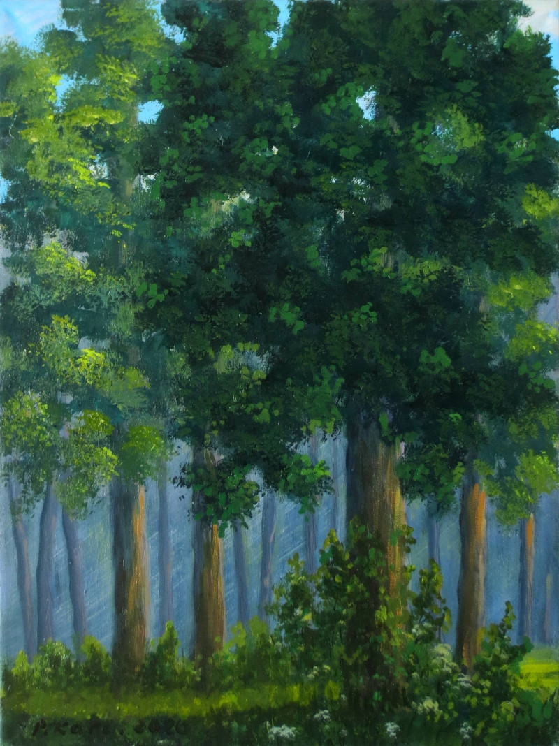 Oak Trees original painting by Petras Kardokas. Landscapes