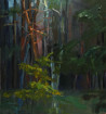 Jūratė Kadusauskaitė tapytas paveikslas Miškas vakare, Peizažai , paveikslai internetu