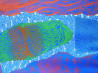 Arvydas Švirmickas tapytas paveikslas Žiemos ilgesys, Kita technika , paveikslai internetu