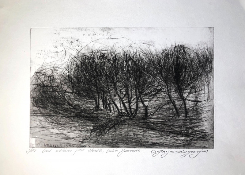 Eugenijus Lugovojus tapytas paveikslas Seni medžiai prie Neries I, Galerija , paveikslai internetu