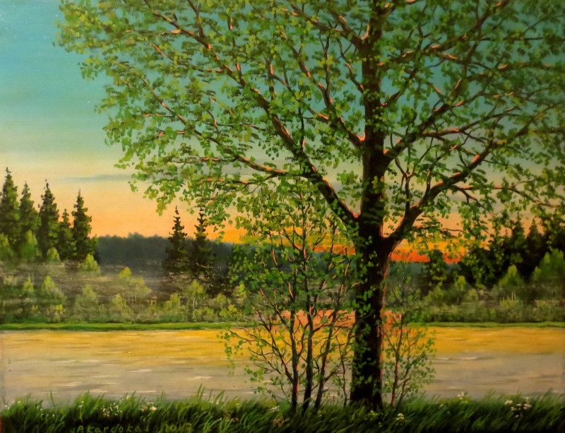 Sunset original painting by Petras Kardokas. Landscapes