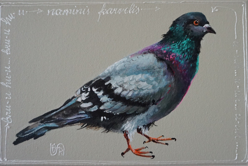 Pigeon original painting by Rasa Tamošiūnienė. Animalistic Paintings
