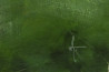Domantas Kličius tapytas paveikslas Žalios gelmės, Rinktiniai peizažai , paveikslai internetu