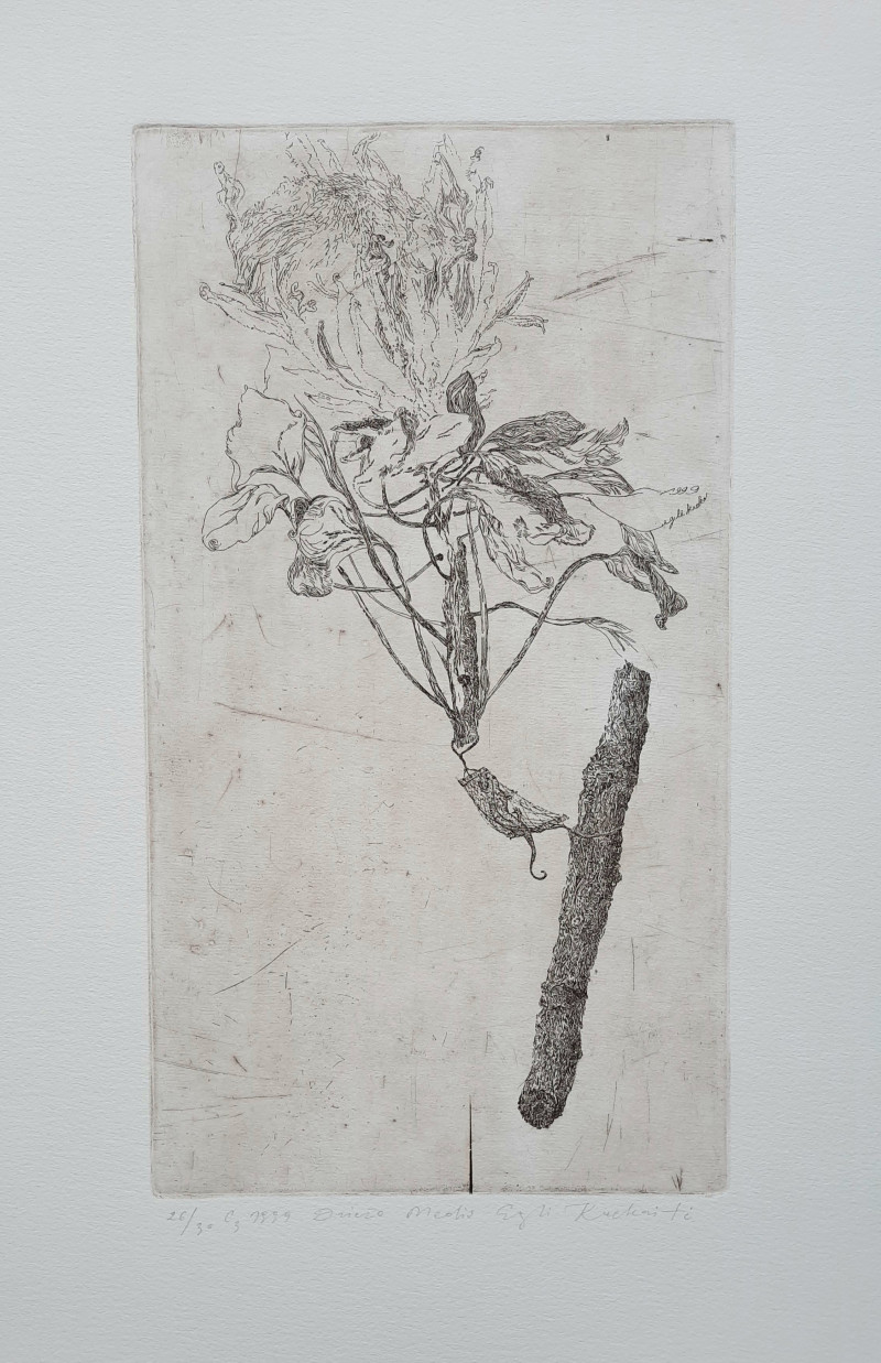 Eglė Kuckaitė tapytas paveikslas Driežo medis, Išlaisvinta fantazija , paveikslai internetu