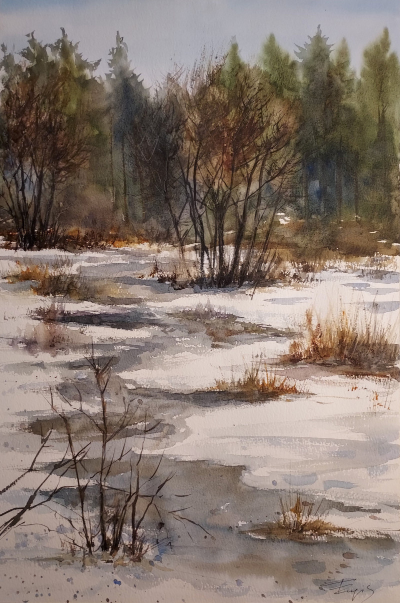 Eugis Eidukaitis tapytas paveikslas Miško upelis, Peizažai , paveikslai internetu