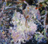 Dalia Čistovaitė tapytas paveikslas Lapai lede V, Abstrakti tapyba , paveikslai internetu