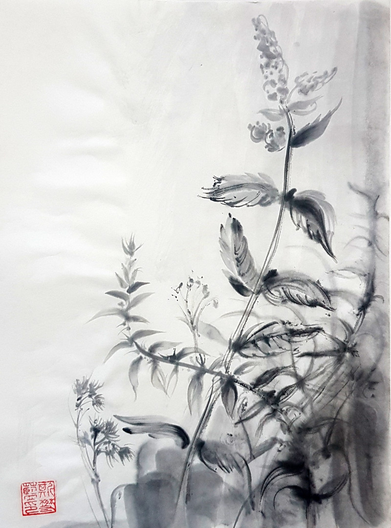 Jolanta Sereikaitė tapytas paveikslas Augalija, Žolynų kolekcija , paveikslai internetu