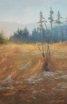 Vladimiras Jarmolo tapytas paveikslas Rytas, Peizažai , paveikslai internetu