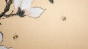Indrė Beinartė tapytas paveikslas Magnolija ir bitės, Gėlės , paveikslai internetu
