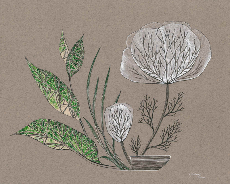 Ieva Stoškienė tapytas paveikslas Ikebana, Žolynų kolekcija , paveikslai internetu