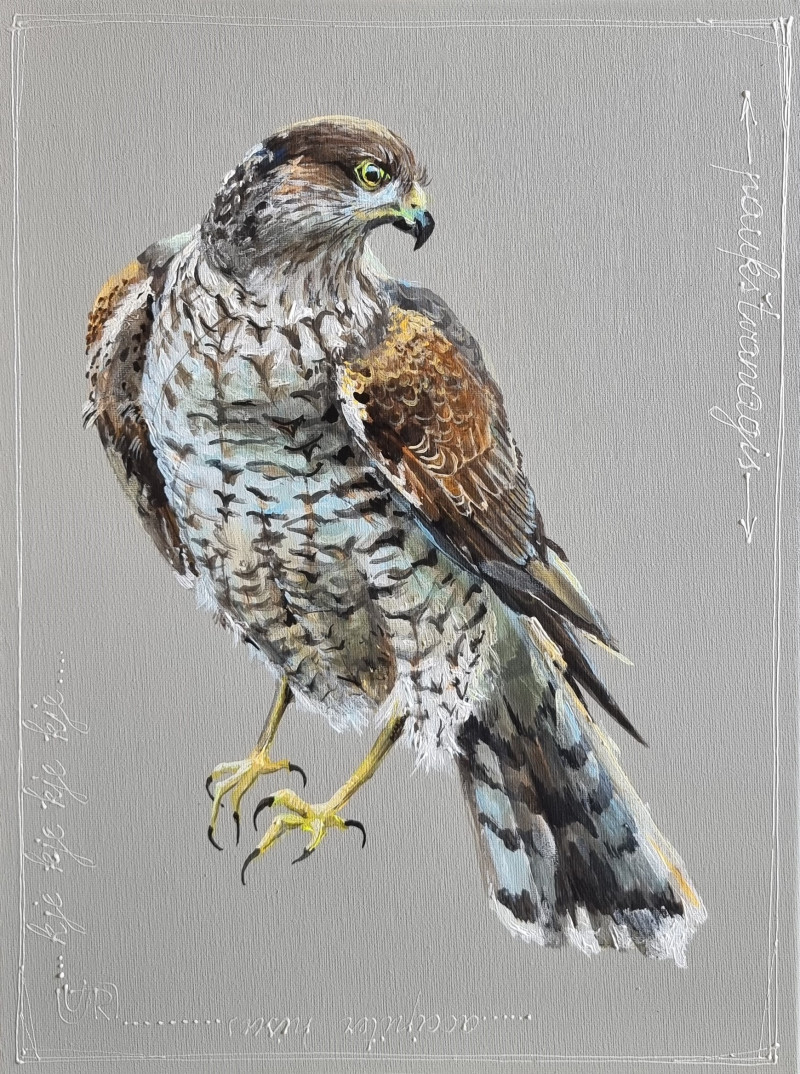 Hawk original painting by Rasa Tamošiūnienė. Animalistic Paintings