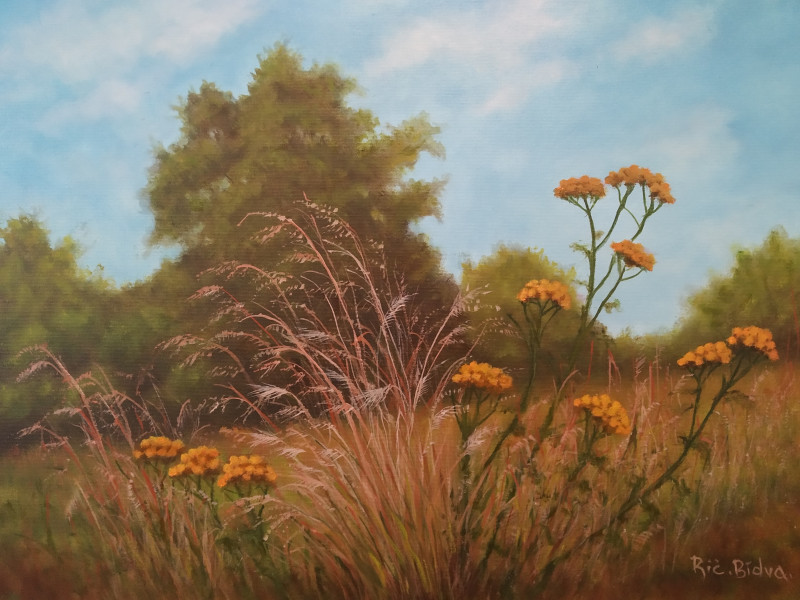 Ričardas Bidva tapytas paveikslas Vasaros sapnas, Peizažai , paveikslai internetu