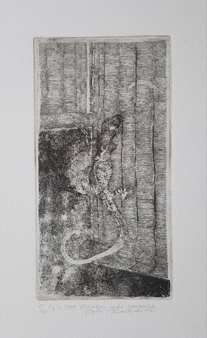 Eglė Kuckaitė tapytas paveikslas Driežas arba suvyniok, Miniatiūros - Maži darbai , paveikslai internetu