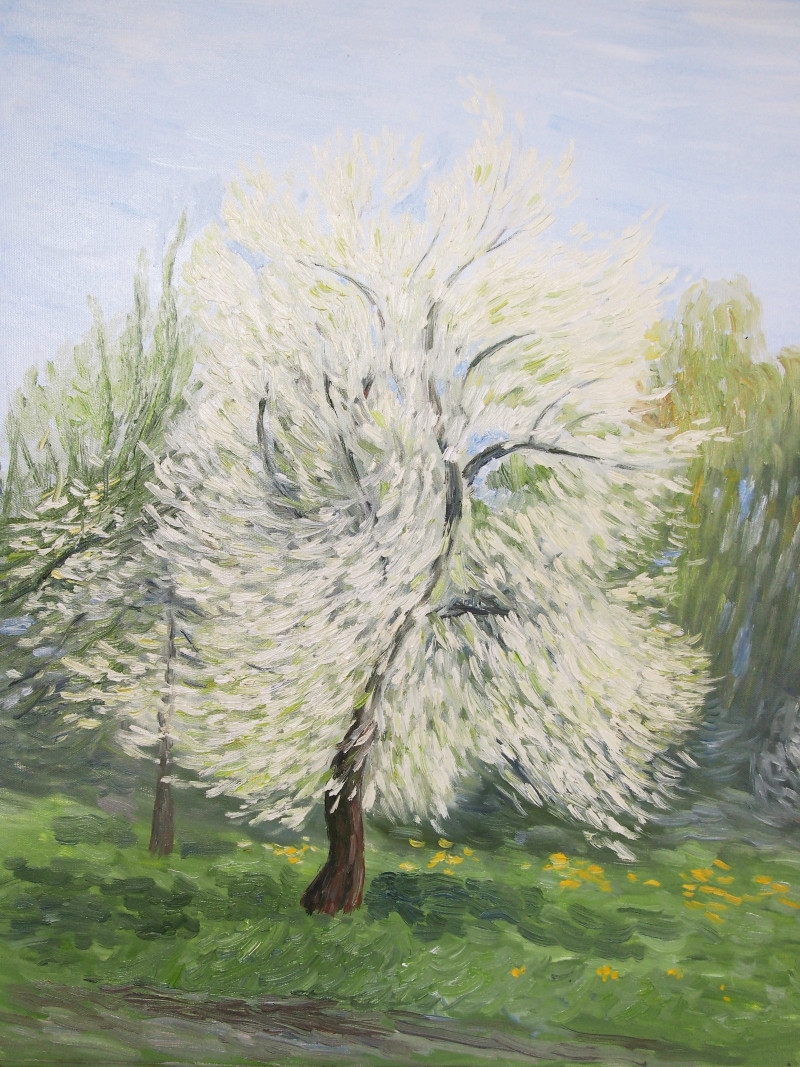 Flowering Pear original painting by Aida Kačinskaitė. Landscapes