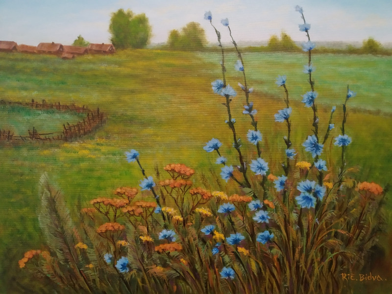 Ričardas Bidva tapytas paveikslas Vasara kaime, Peizažai , paveikslai internetu