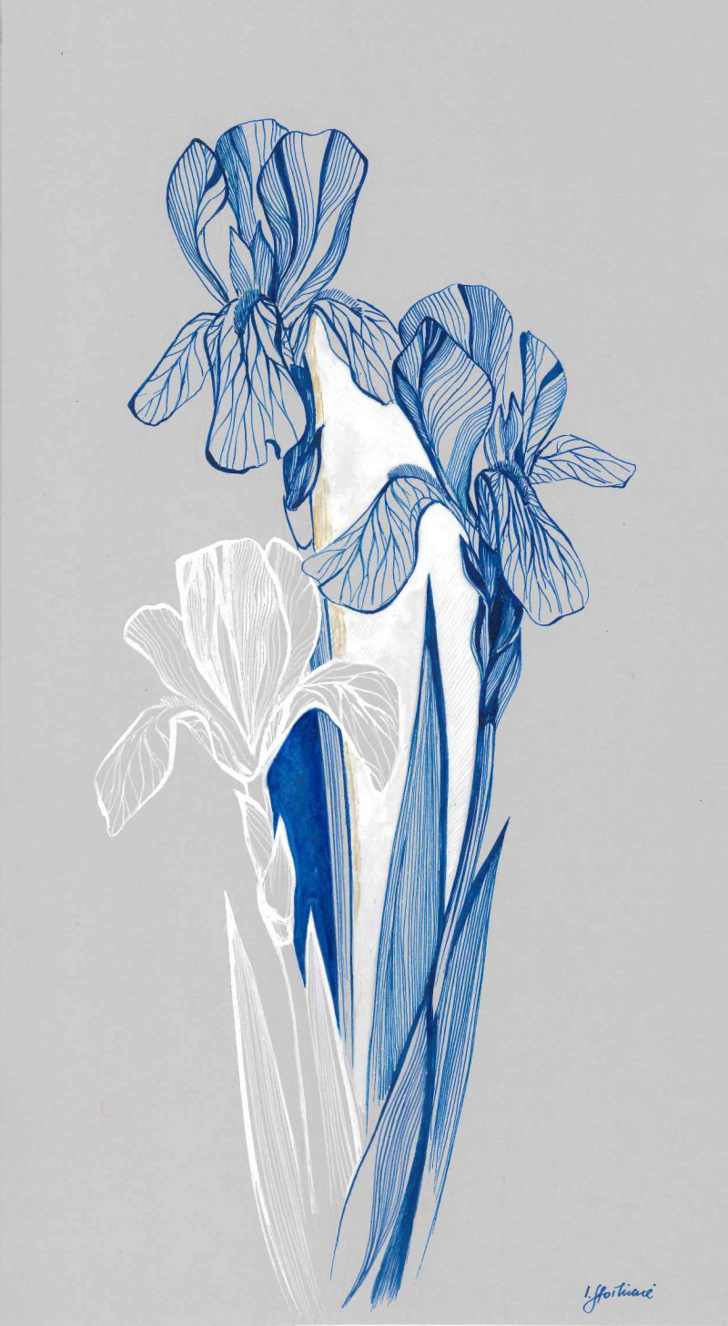 Irises original painting by Ieva Stoškienė. Flowers