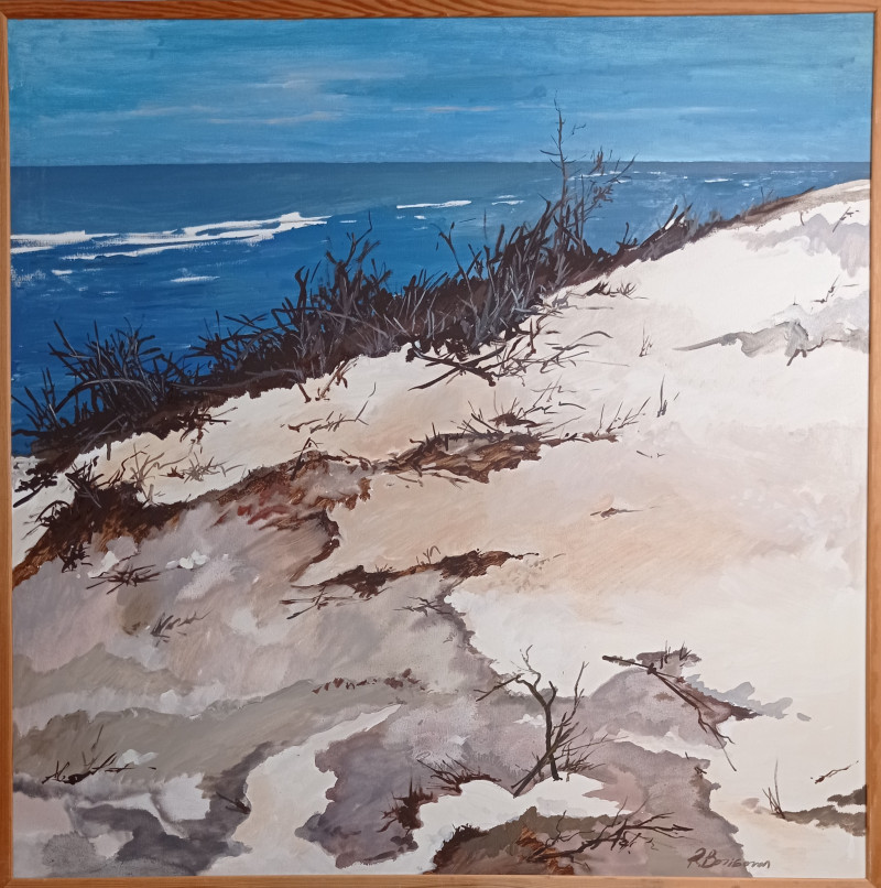 Romanas Borisovas tapytas paveikslas Jūra ir kopos žiemą, Peizažai , paveikslai internetu