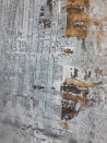 Egidijus Dapšas tapytas paveikslas Adaptacija, Abstrakti tapyba , paveikslai internetu