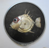 Vladimiras Nikonovas tapytas paveikslas Žuvis - Taikinys, Animalistiniai paveikslai , paveikslai internetu