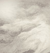Dovilė Pakštienė tapytas paveikslas Dangaus judesiai dykumoje, Peizažai , paveikslai internetu
