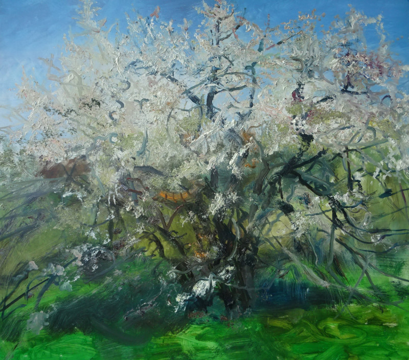 Blooming cherry original painting by Gražina Vitartaitė. Landscapes