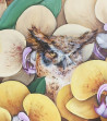 Silvija Pupelytė tapytas paveikslas Pelėda, Animalistiniai paveikslai , paveikslai internetu
