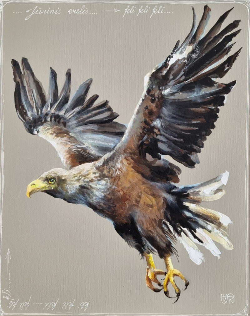 Sea Eagle original painting by Rasa Tamošiūnienė. Animalistic Paintings