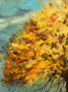 Sigita Paulauskienė tapytas paveikslas Rudens paletė, Peizažai , paveikslai internetu