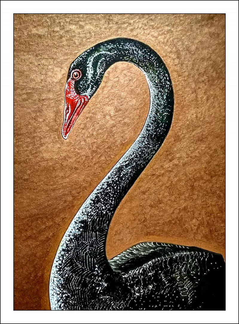 Swan original painting by Artūras Skopas . Animalistic Paintings