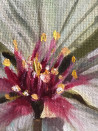 Sigita Paulauskienė tapytas paveikslas Sakura, Gėlės , paveikslai internetu