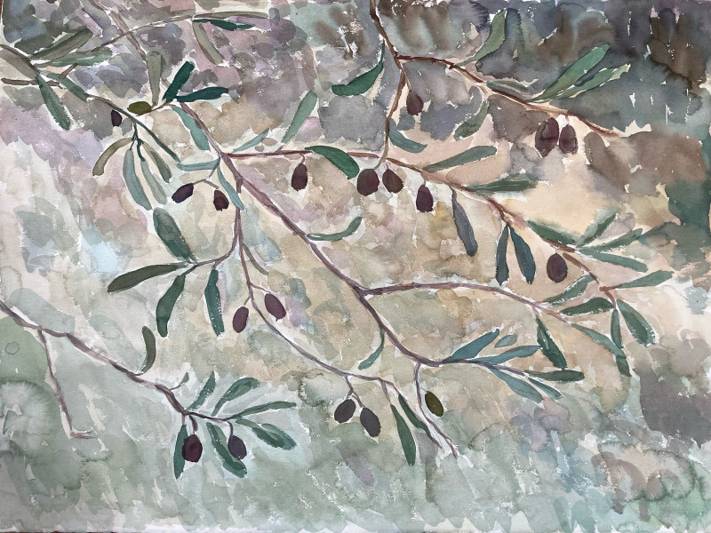 Olive Tree original painting by Gabrielė Prišmantaitė. Landscapes
