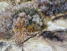 Onutė Juškienė tapytas paveikslas Smėlynai, Žolynų kolekcija , paveikslai internetu