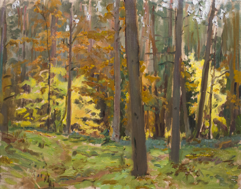 Vaidotas Vankevičius tapytas paveikslas Miško spalvos rudenį, Peizažai , paveikslai internetu