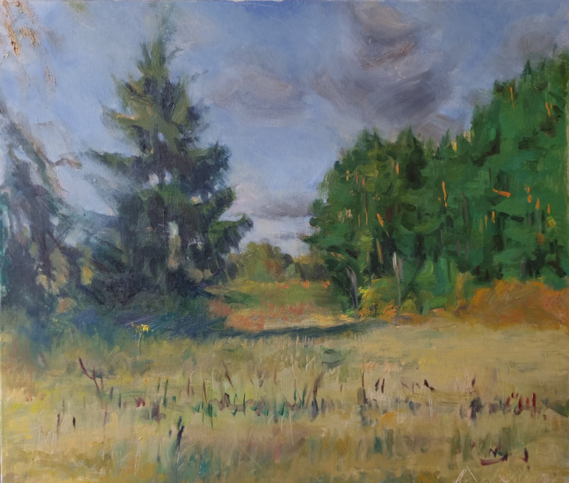 Vaidotas Vankevičius tapytas paveikslas Rudenėjantis laukas, Peizažai , paveikslai internetu