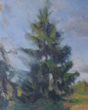 Vaidotas Vankevičius tapytas paveikslas Rudenėjantis laukas, Peizažai , paveikslai internetu