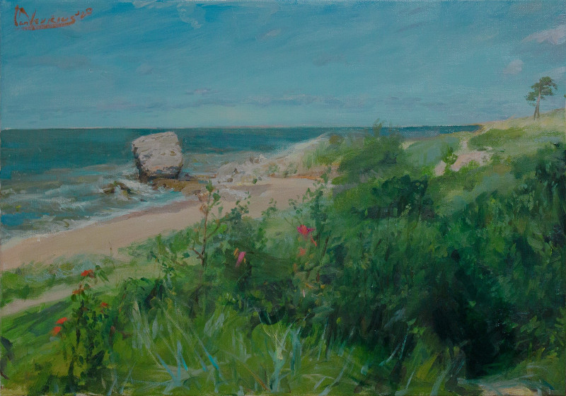 Vaidotas Vankevičius tapytas paveikslas Karostos paplūdimys, Marinistiniai paveikslai , paveikslai internetu