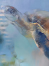Aistė Jurgilaitė tapytas paveikslas Vėžlio svajonė, Animalistiniai paveikslai , paveikslai internetu