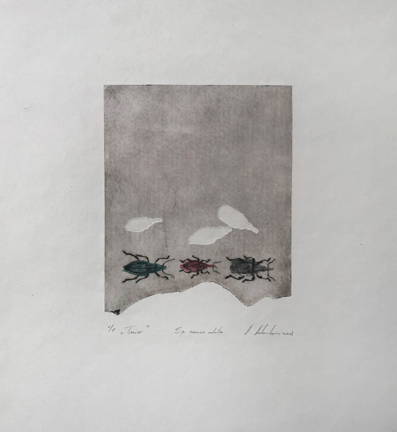 Audrius Arlauskas tapytas paveikslas Trio, Statiški paveikslai , paveikslai internetu