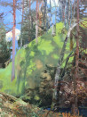 Gražina Vitartaitė tapytas paveikslas Mažulonių piliakalnis, Peizažai , paveikslai internetu