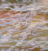 Jonas Šidlauskas tapytas paveikslas Vandenėlis, Peizažai , paveikslai internetu