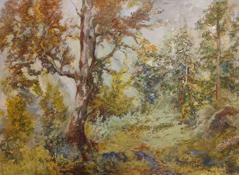 Oak Tree original painting by Birutė Butkienė. Landscapes