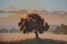 Rimantas Virbickas tapytas paveikslas Užaugęs tarp dangaus ir žemės, Peizažai , paveikslai internetu