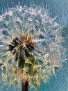 Sigita Paulauskienė tapytas paveikslas Pūkelio sapnas, Ramybe dvelkiantys , paveikslai internetu