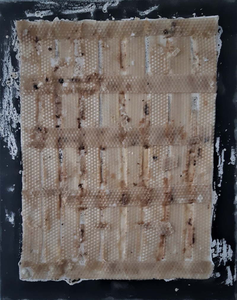 Kristina Čivilytė tapytas paveikslas Bičių vaškas 6, Abstrakti tapyba , paveikslai internetu