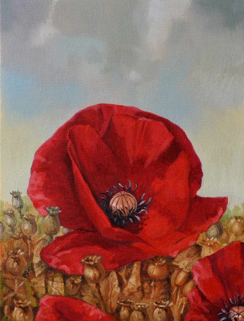 Poppy original painting by Artūras Braziūnas. Flowers