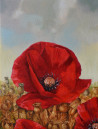Artūras Braziūnas tapytas paveikslas Aguona, Gėlės , paveikslai internetu