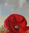 Artūras Braziūnas tapytas paveikslas Aguona, Gėlės , paveikslai internetu