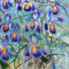 Vytautas Poška tapytas paveikslas Irisai, Gėlės , paveikslai internetu