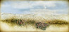 Onutė Juškienė tapytas paveikslas Kalneliai, Žolynų kolekcija , paveikslai internetu